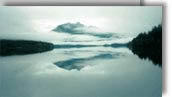 Olympic Peninsula
